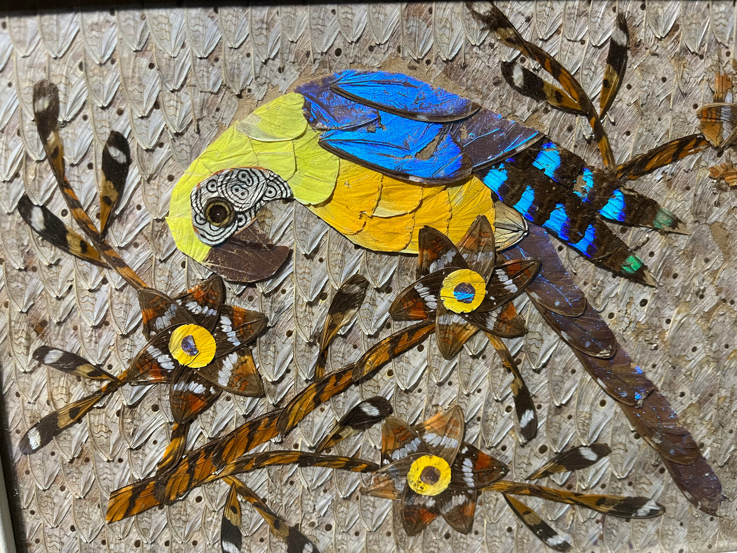 Original Butterfly Wing Art - Parrot on Branch
