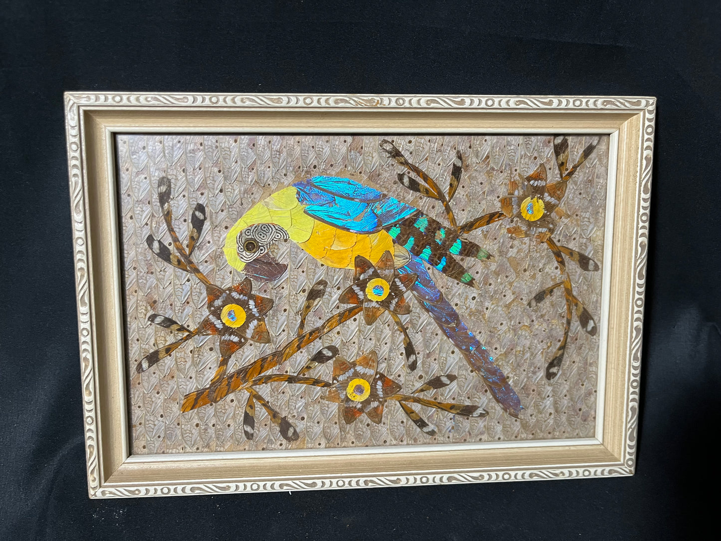 Original Butterfly Wing Art - Parrot on Branch