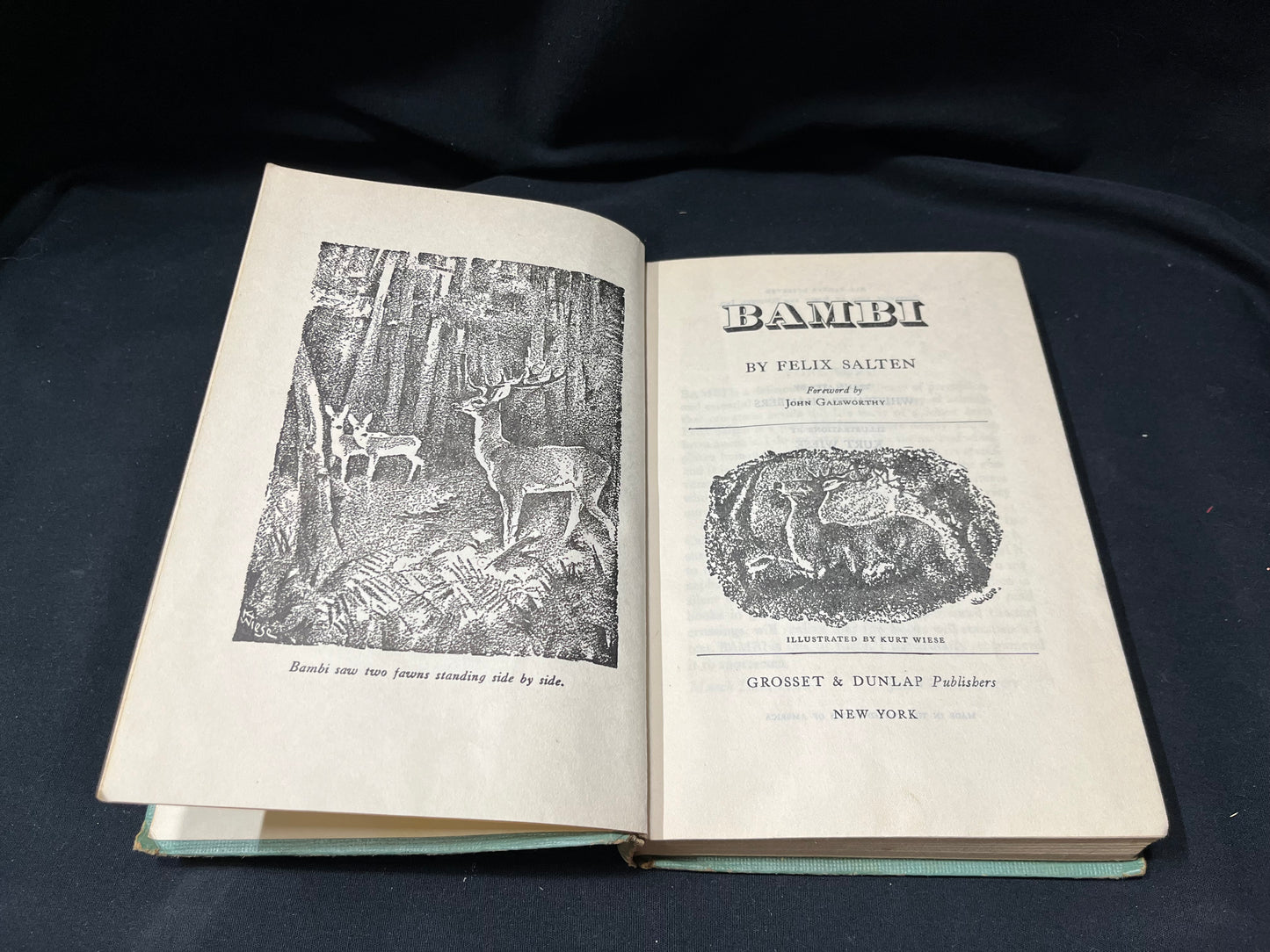 Hardcover BAMBI Novel by Felix Salten
