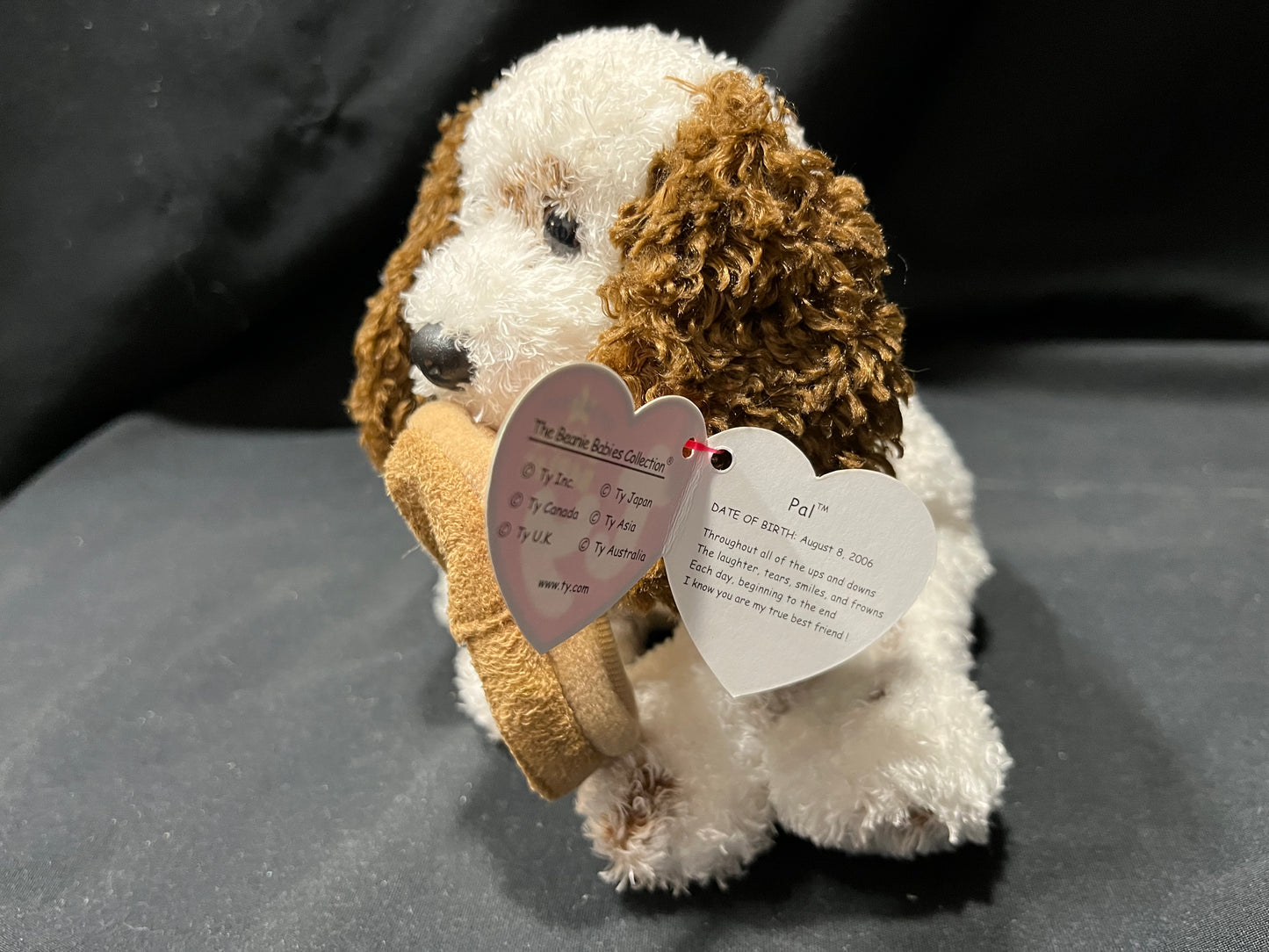 TY Beanie Baby PAL White and Brown Dog Holding Slipper - Web Exclusive 2006