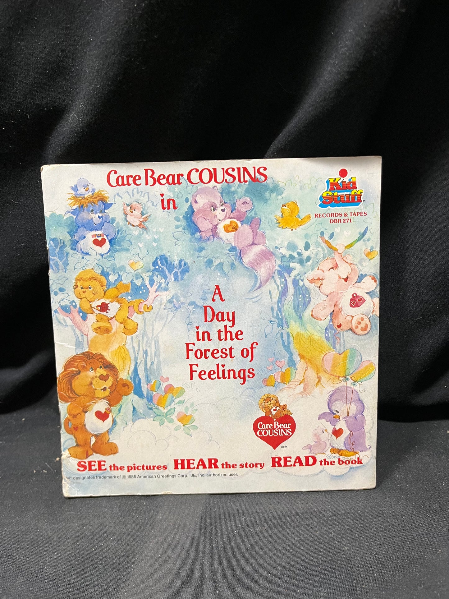 Care Bear Cousins in A Day in the Forest of Feelings - Read Along Book and Record
