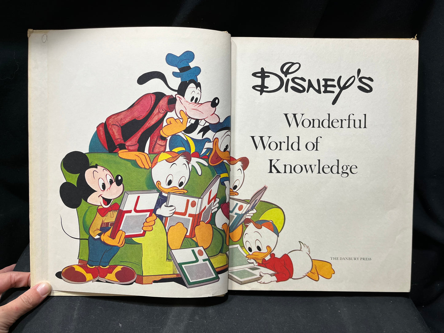 Disney's Wonderful World Of Knowledge Book 2